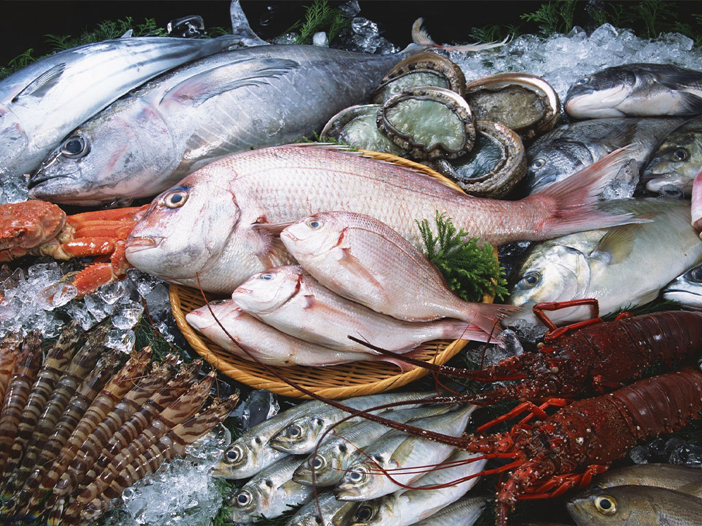 Chợ hải sản Gành Dầu Phú Quốc được nhiều người ghé thăm